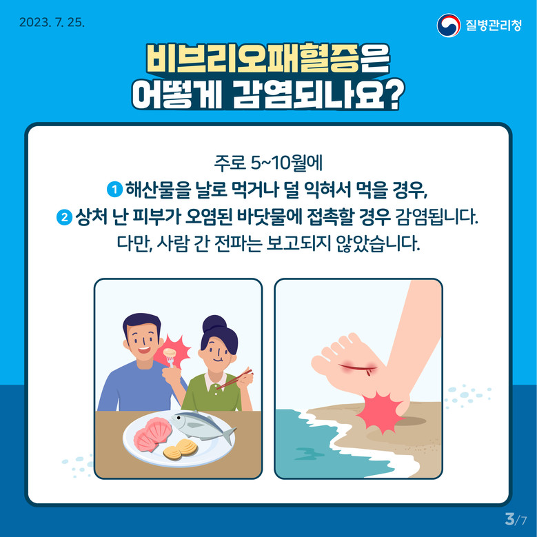 전남도, 어패류 익혀먹기 등 비브리오...
