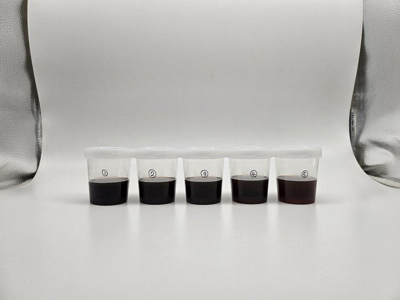 경남 파파야, 기능성 가공 소재로 주...