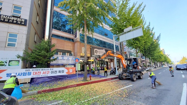 대전시, 은행나무 암나무 교체…  시...