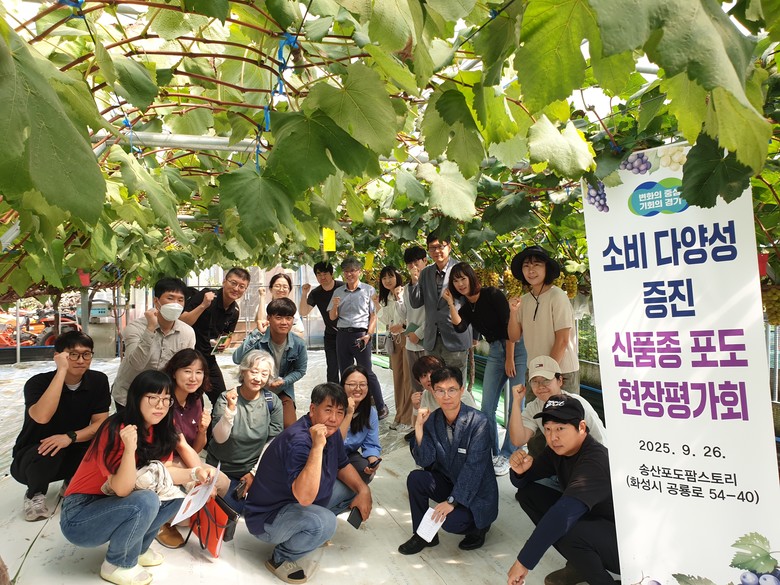 경기도, ‘슈팅스타’, ‘썸머크리스피...
