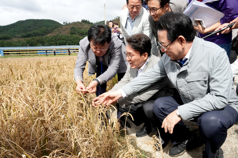 김민석 국무총리, 전남 장흥 "벼 깨...
