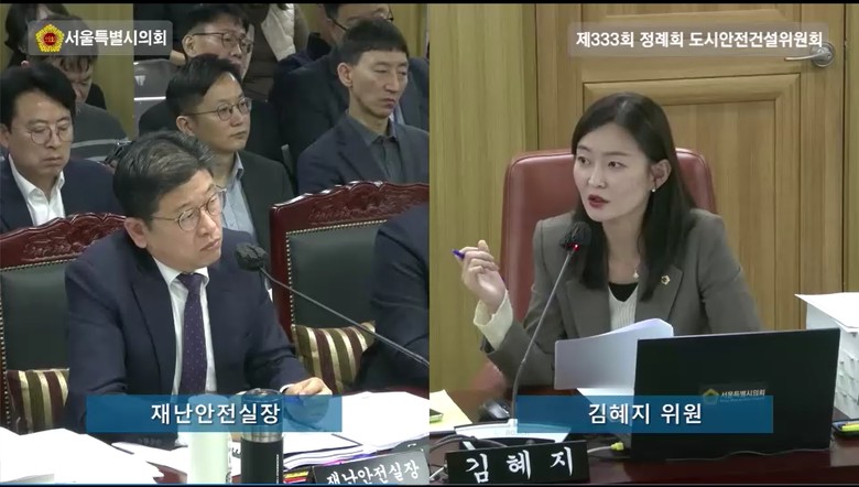 김혜지 시의원, 서울시 도로·교량 입...