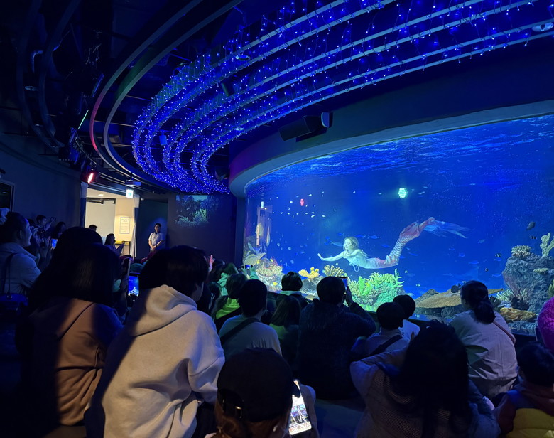 수원특례시, 드림스타트 아동‘아쿠아플...