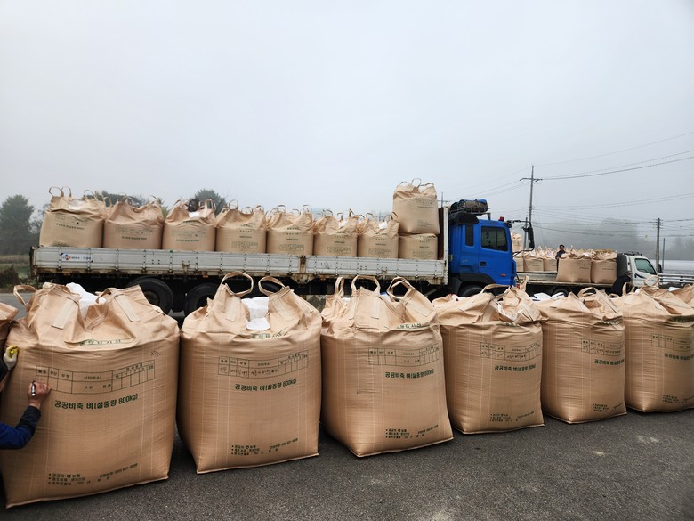 2025년산 공공비축미곡 건조벼 1,...