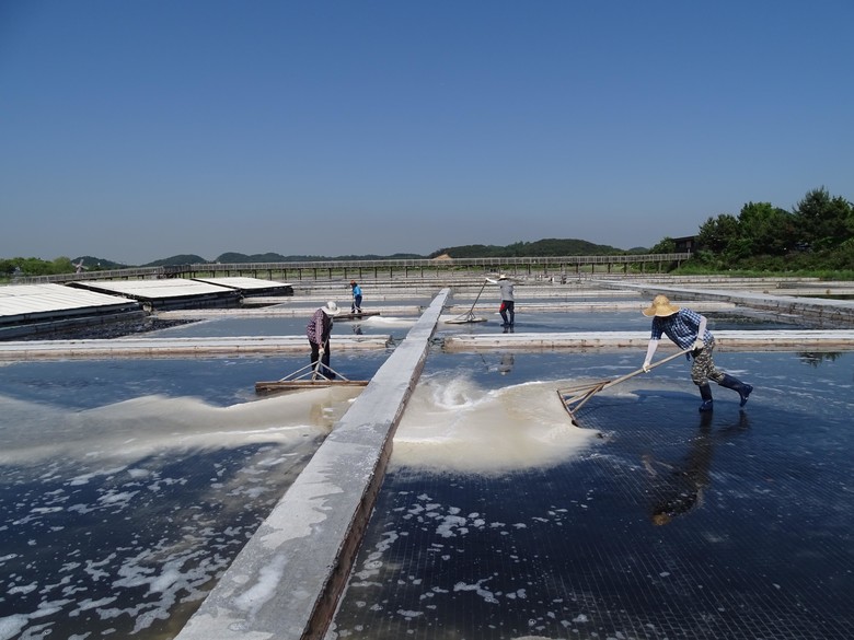 인천시, 소래습지 천일염 지원으로 지...