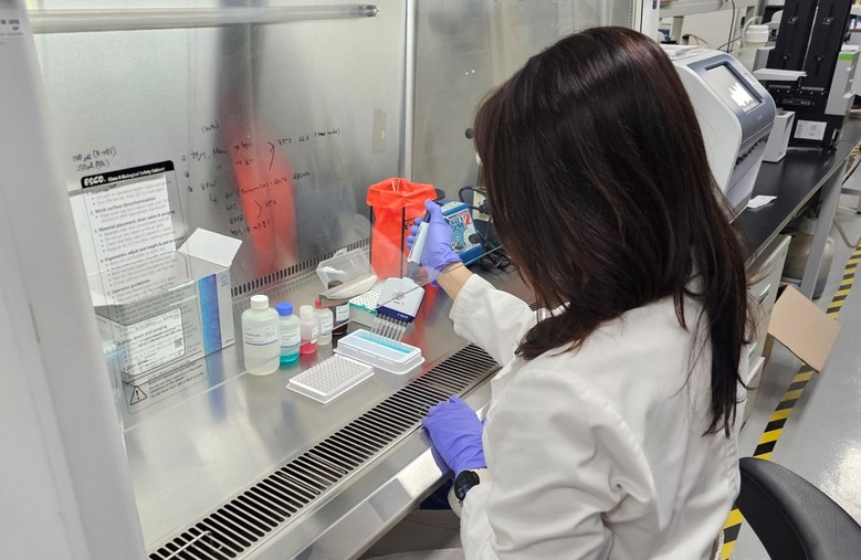 세종시 구제역 백신 항체 양성률 