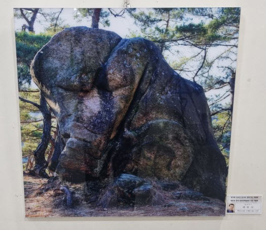 박창식 사진작가, 영등포문화원에서 특...