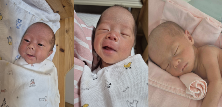 동두천시, 두 해 연속 세쌍둥이 탄생...