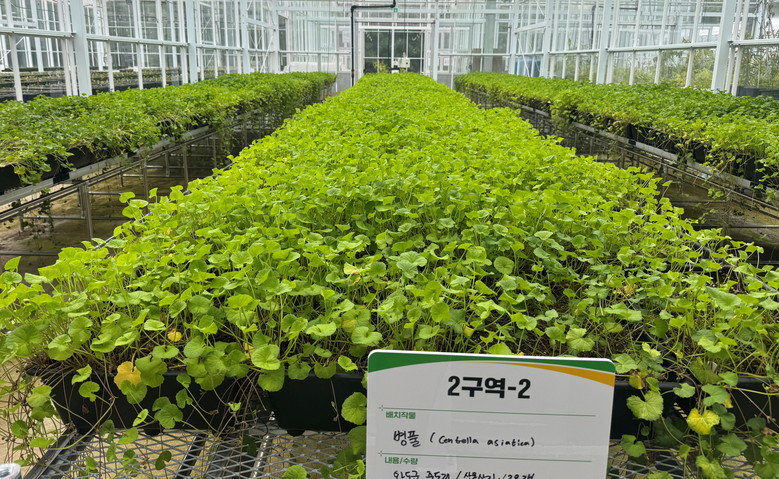 전남산림연구원, 케이-뷰티 이끌 ‘병...