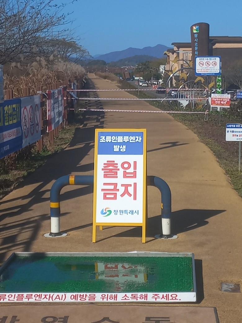 주남저수지 조류인플루엔자 검출경남도,...