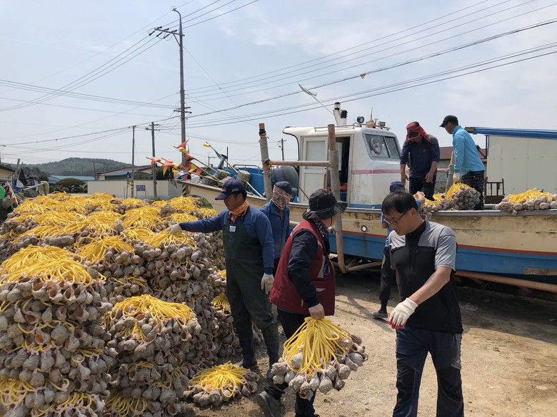 고창군, ‘주꾸미 산란‧서식장 조성사...