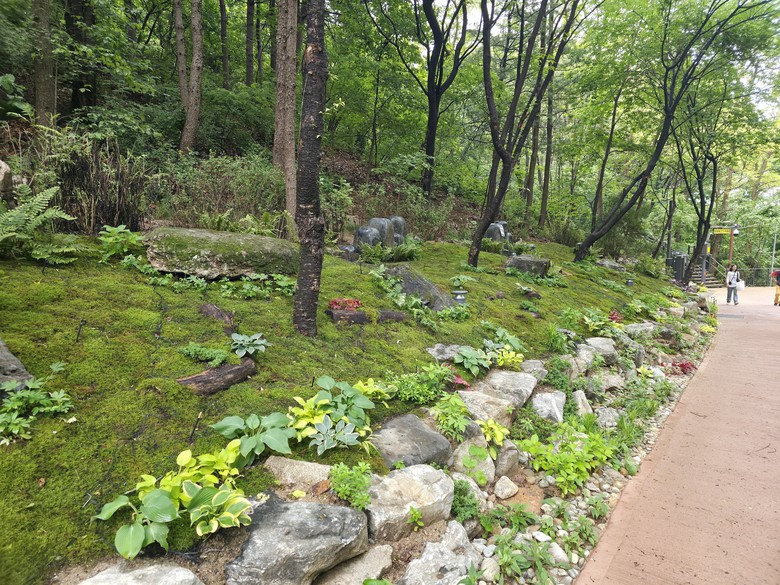 서울시, 25년 산사태 재해방지 우수...