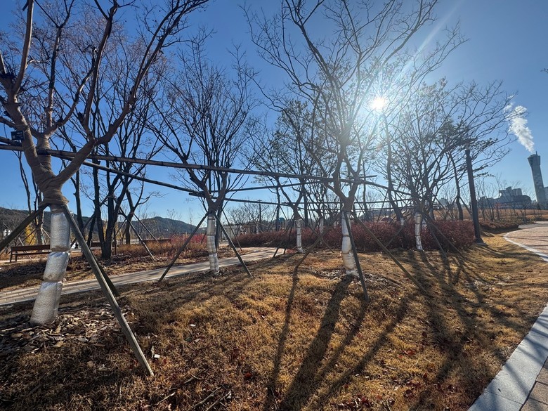 “나무들도 겨울옷 입었네”