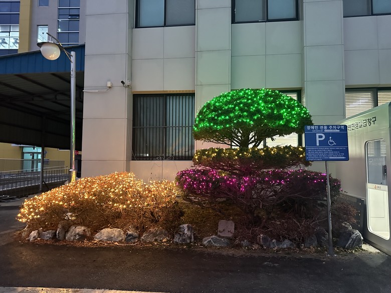 하점면, 반짝이는 경관조명으로 연말연...