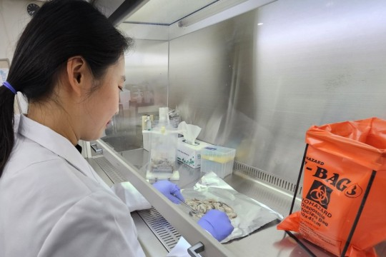 인천시, 겨울철 노로바이러스 식중독 ...