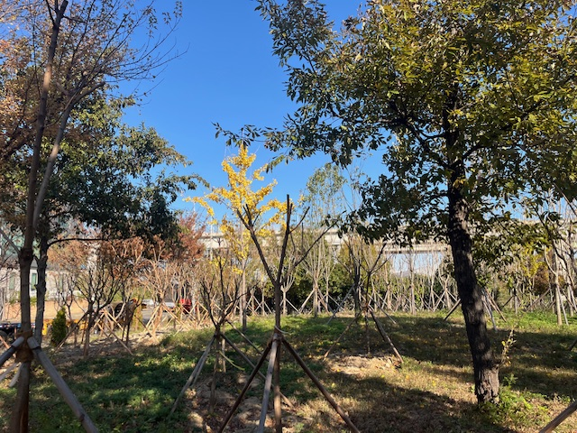 울산시, ‘신일반산단 내 도시숲 조성...