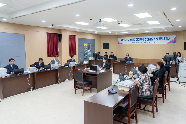 강남구의회 행정안전위원회, 2025년...