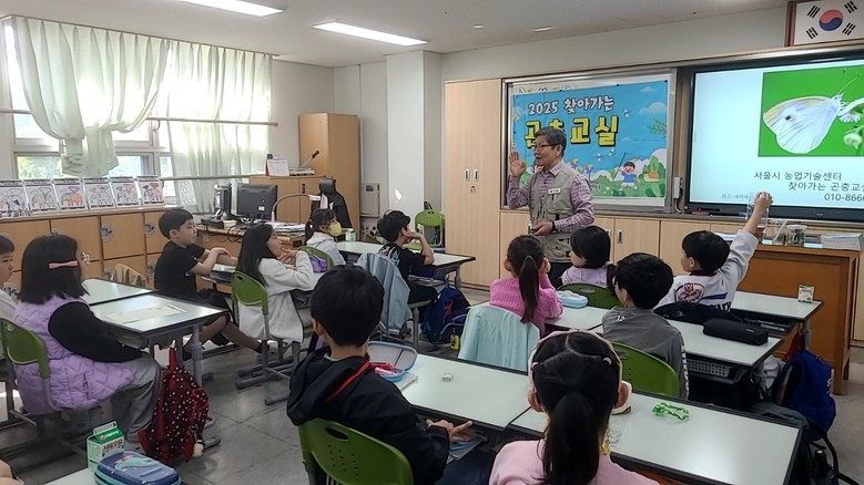 교과서 속 배추흰나비가 교실로… 서울...