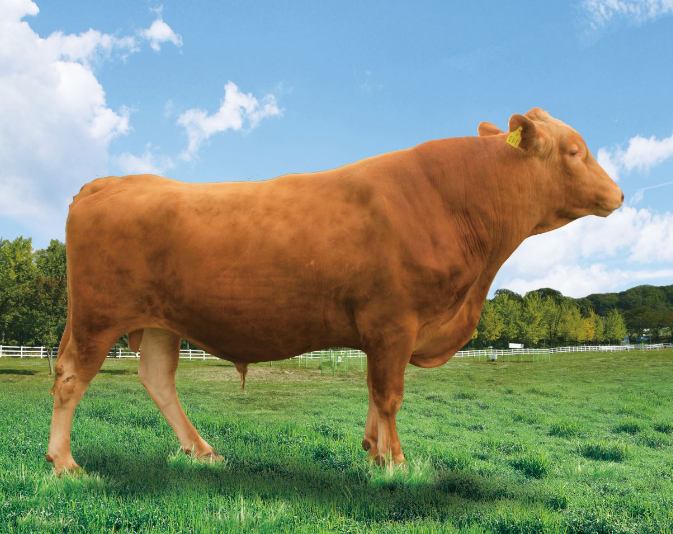 강원특별자치도, 신규 보증씨수소 선발...