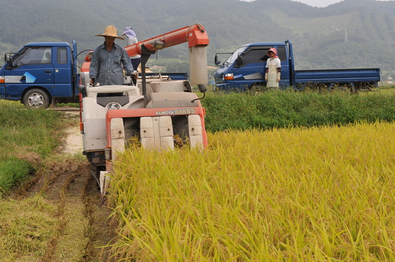 순창군, 친환경 쌀 소비 지원으로 농...
