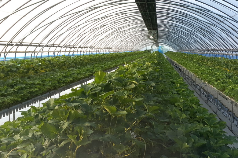 순창군, 친환경농산물 생산장려금 등 ...