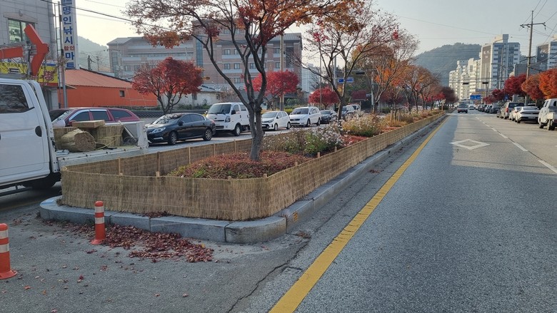 정읍시, 겨울철 가로수 지킴이 ‘방풍...