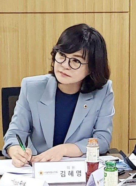 김혜영 서울시의원, 2026년 광진구...