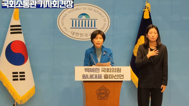 백혜련 의원(더불어민주당),더불어민주...