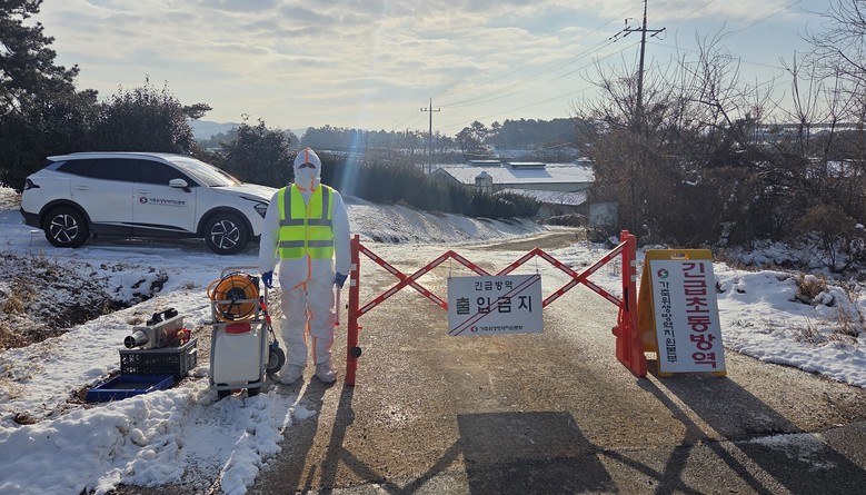 나주 종오리농장서 H5형 조류인플루엔...