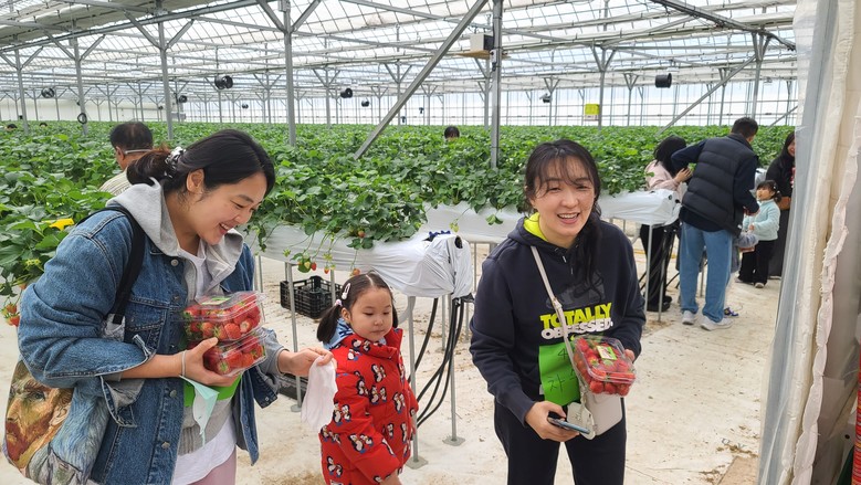 전남도, 1월 농촌체험휴양마을에 담양...