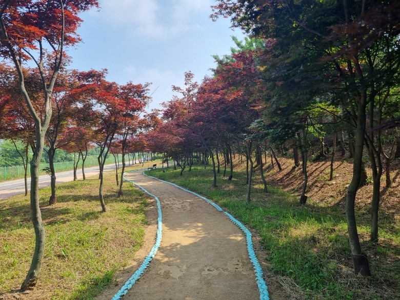 경기도, 올해 427억 투입해 도시숲...