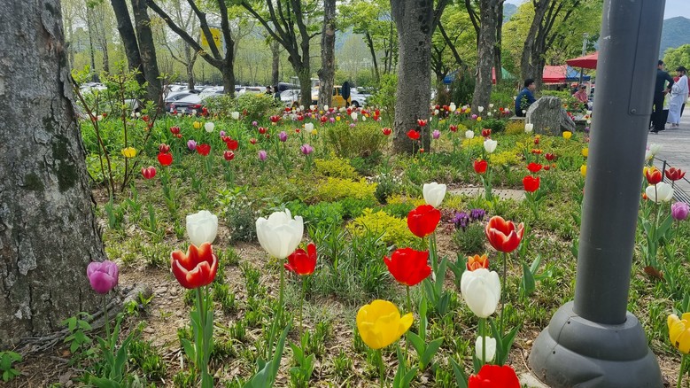 서울대공원, 봄 손님맞이 준비 완료!...