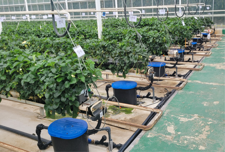 “버려지는 양액 줄인다” 비료값 변동...