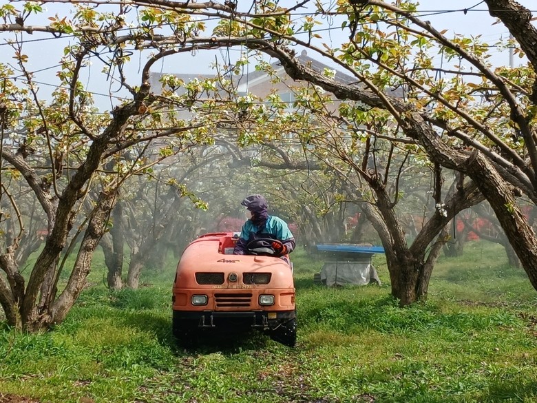 개화기 약제 방제, 과수화상병 예방의...