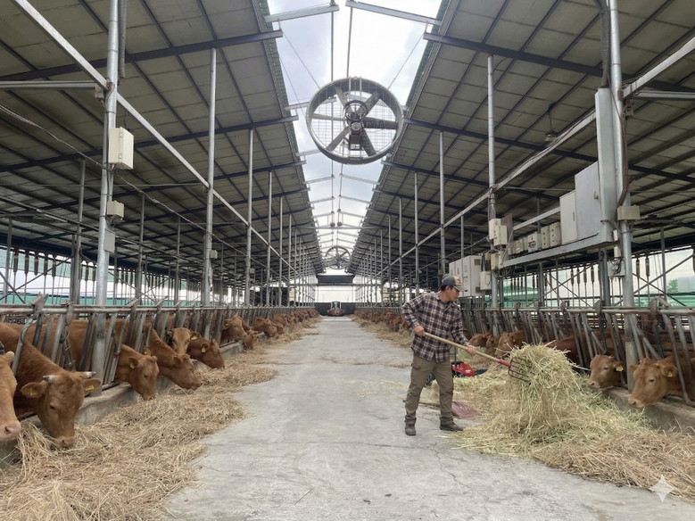 안성시, 2026년 상반기 사료구매 ...